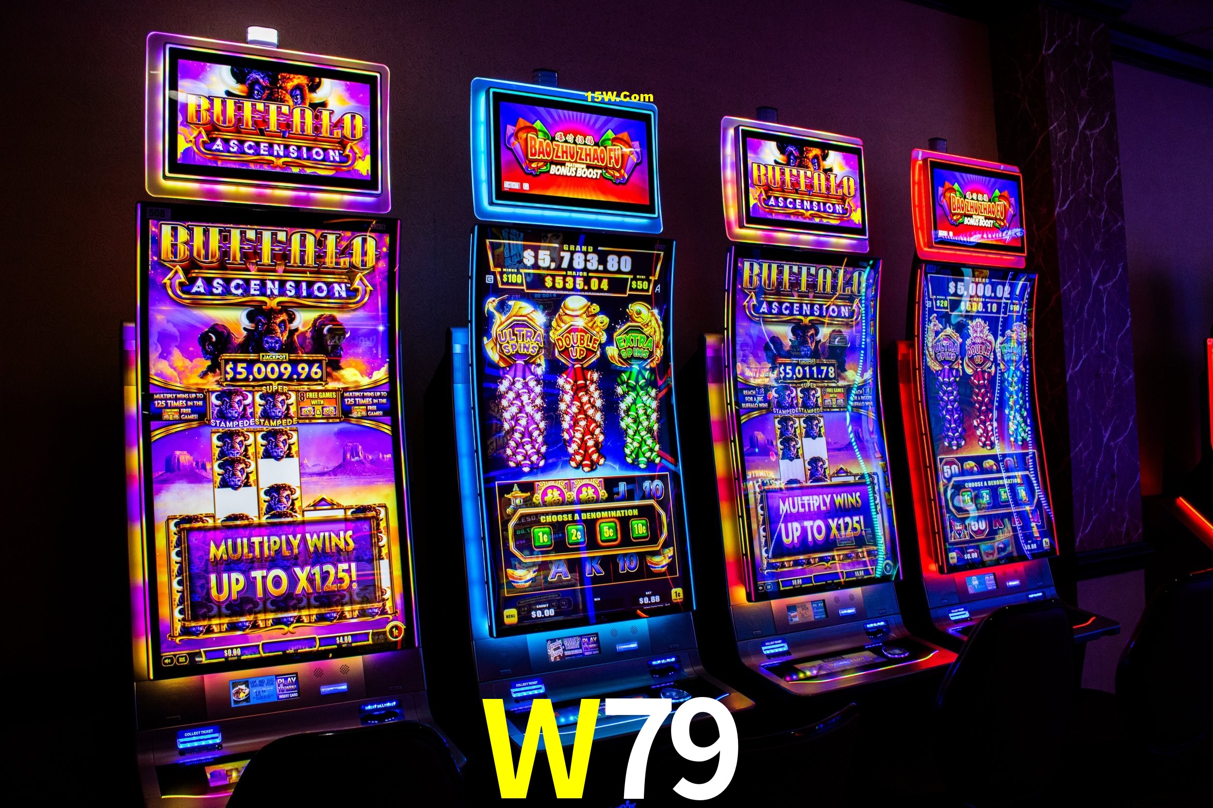 Live Casino W79